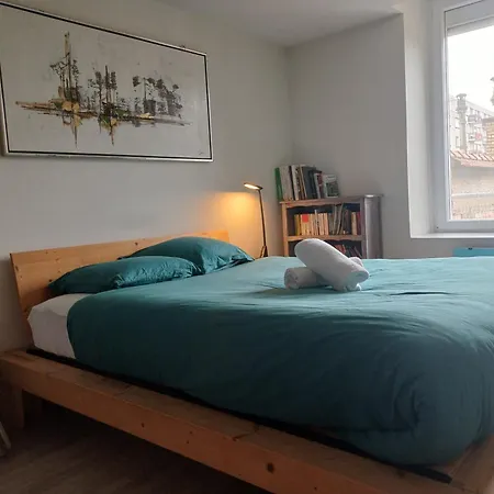 Le Grenier A Sel, Chaleureux 2 Chambres-centre-gare Appartamento Reims